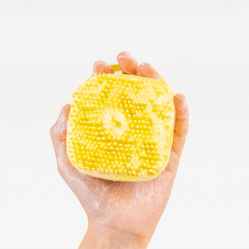 Shampoo dog brush in a soapy hand on a white background