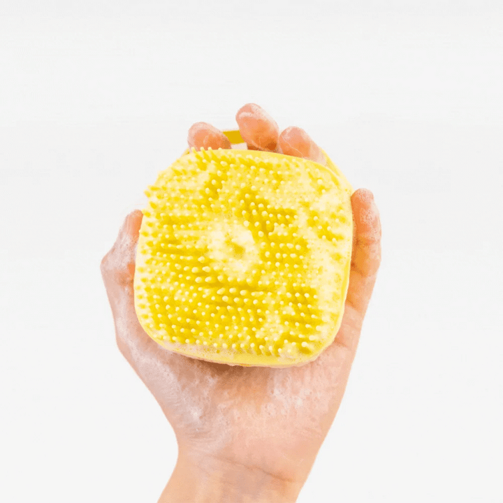 Shampoo dog brush in a soapy hand on a white background