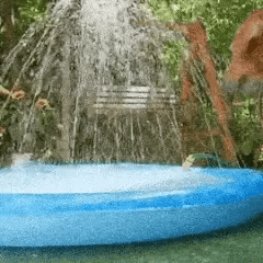 Golden retriever springing from the lawn into an outdoor dog splash pad