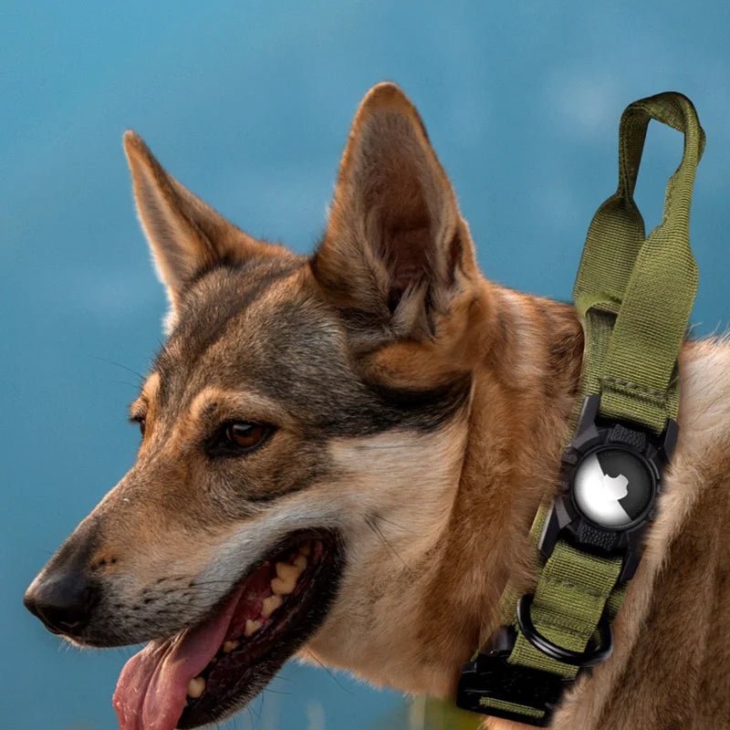 Military dog collar with handle shown on a dog, side profile close-up with airtag holder