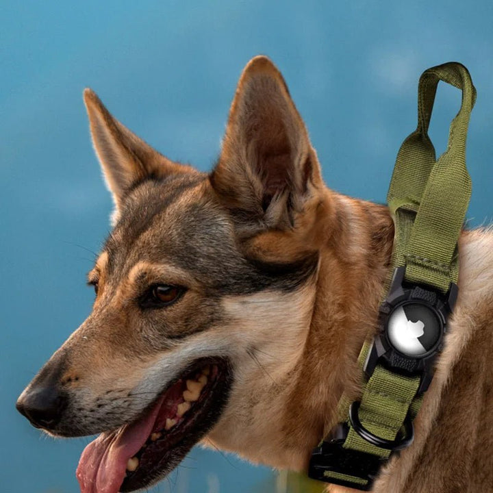 Military dog collar with handle shown on a dog, side profile close-up with airtag holder