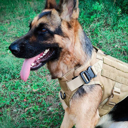 German Shepherd wearing a durable tactical dog harness vest, perfect for outdoor training, walking, or hiking.