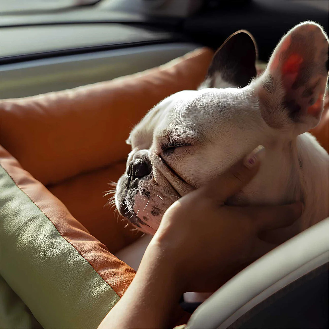 dog bed for traveling in car with french bulldog resting on seat