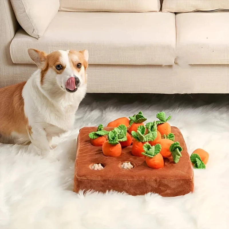 Garden veggie dog toy with plush carrots as a small dog sits beside the mat