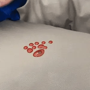 large dog travel bed for car shown easy to clean and maintain at home