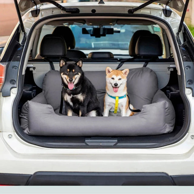 Two dogs sitting on a dog boot bed for car in the open boot of an SUV