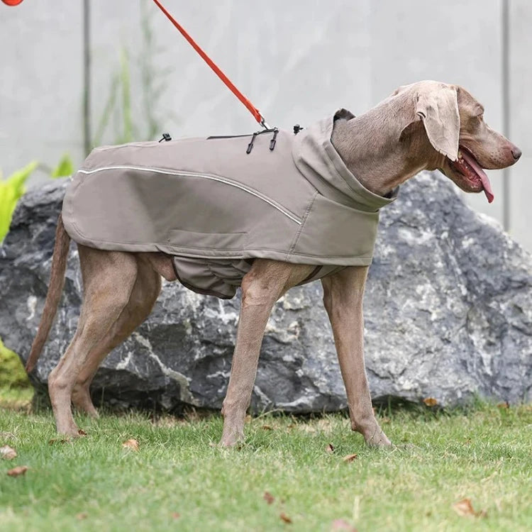 Gray dog wearing dog vest waterproof with reflective trim outdoors
