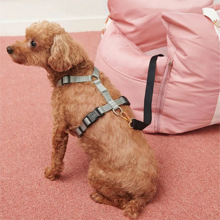 Small dog in harness sitting next to pink waterproof seat