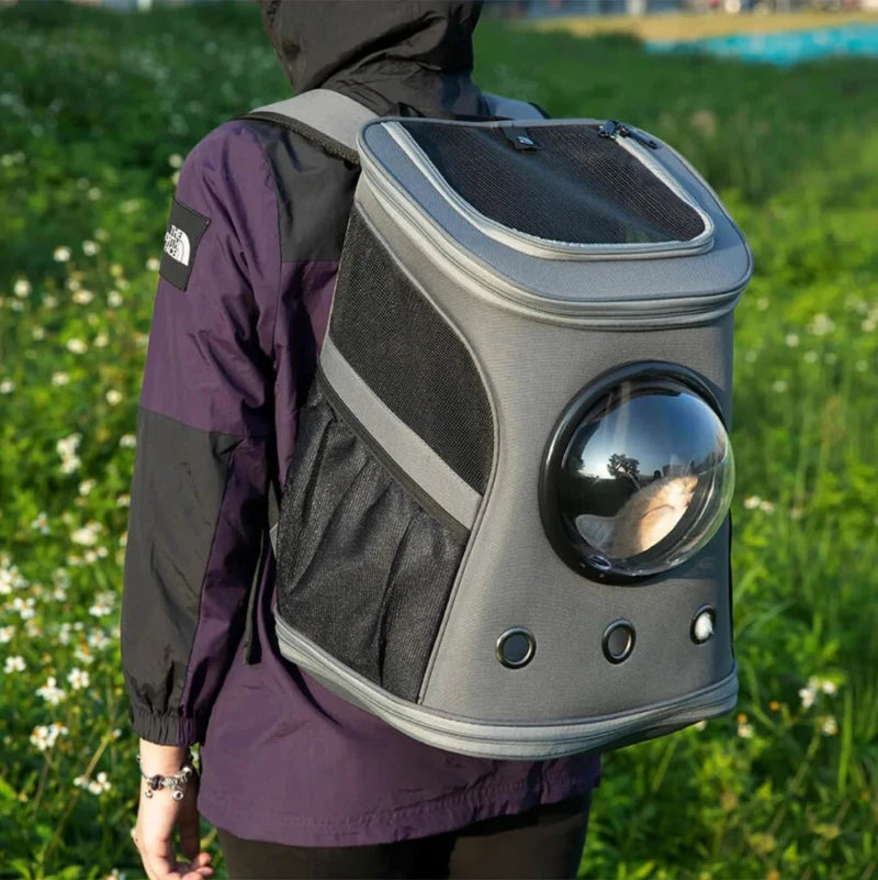 A person wears a cat backpack capsule outdoors with a cat visible through the bubble window