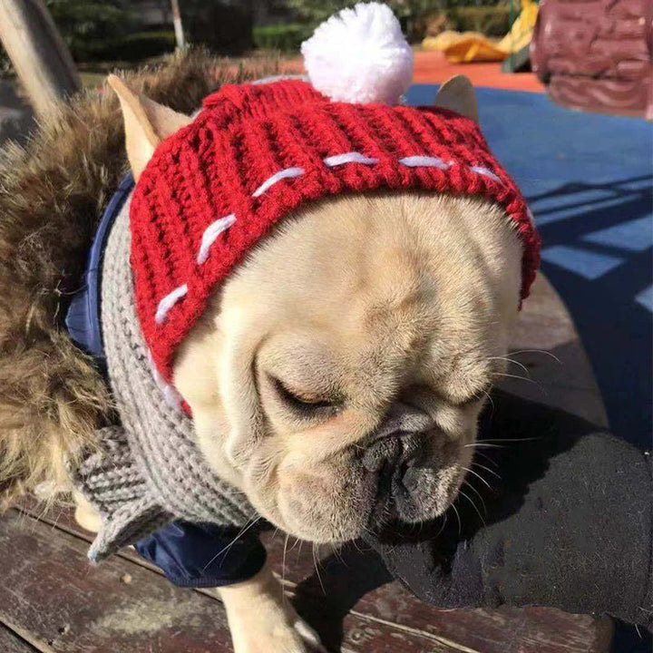 Knitted hat for french bulldog in red with a white pom pom, paired with a gray knit scarf outdoors