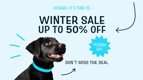 Winter sale banner for FluffyPuppy Pet Supplies Store featuring a black Labrador puppy wearing a blue collar on a light blue background