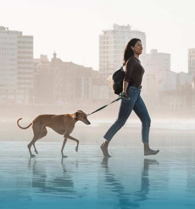 Woman walking a dog near the Singapore waterfront during a calm sunny morning