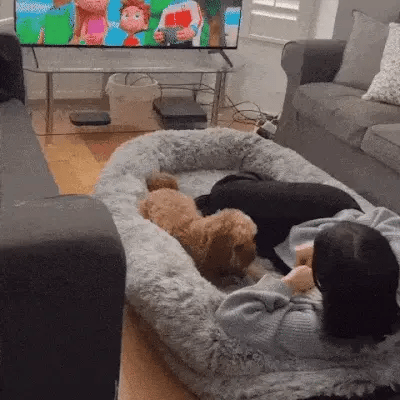 woman reading with her dog on a human size dog bed in the living room